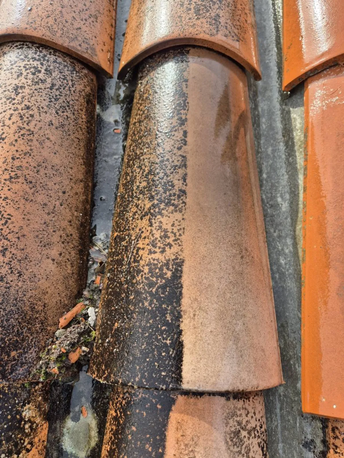 Nettoyage toiture tuiles Hauts-de-Seine